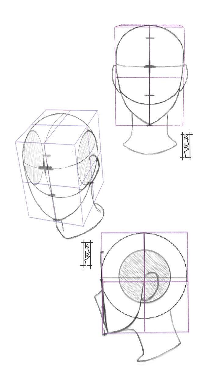 איך לצייר ראש- חלק 4.jpg