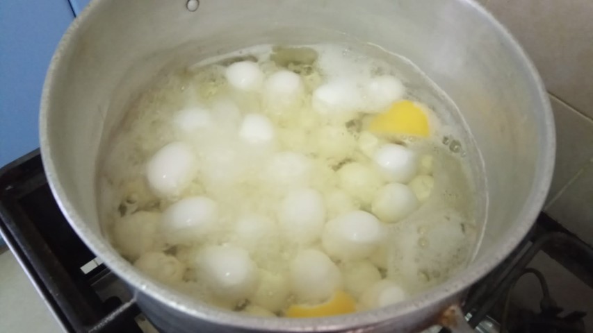 ביצים (2).jpg
