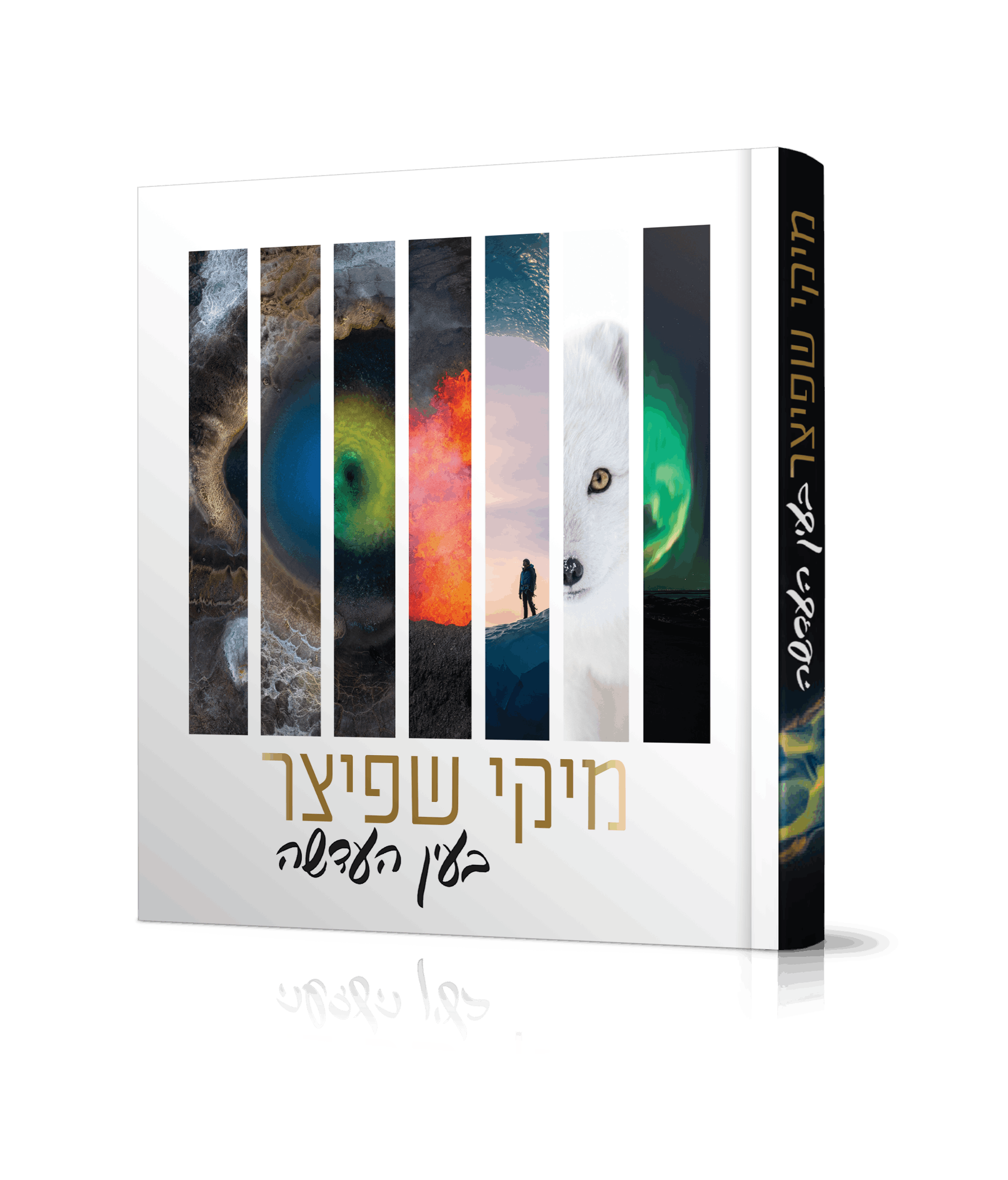 הדמיה-1B (1).png