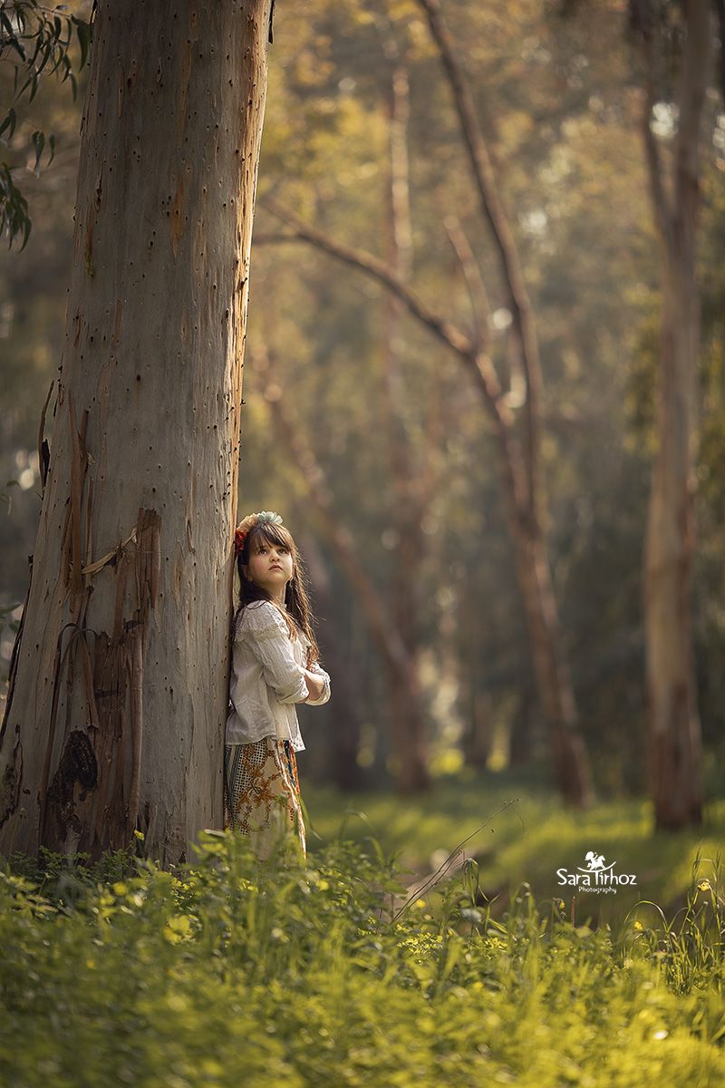 הילדה והעץ2.jpg