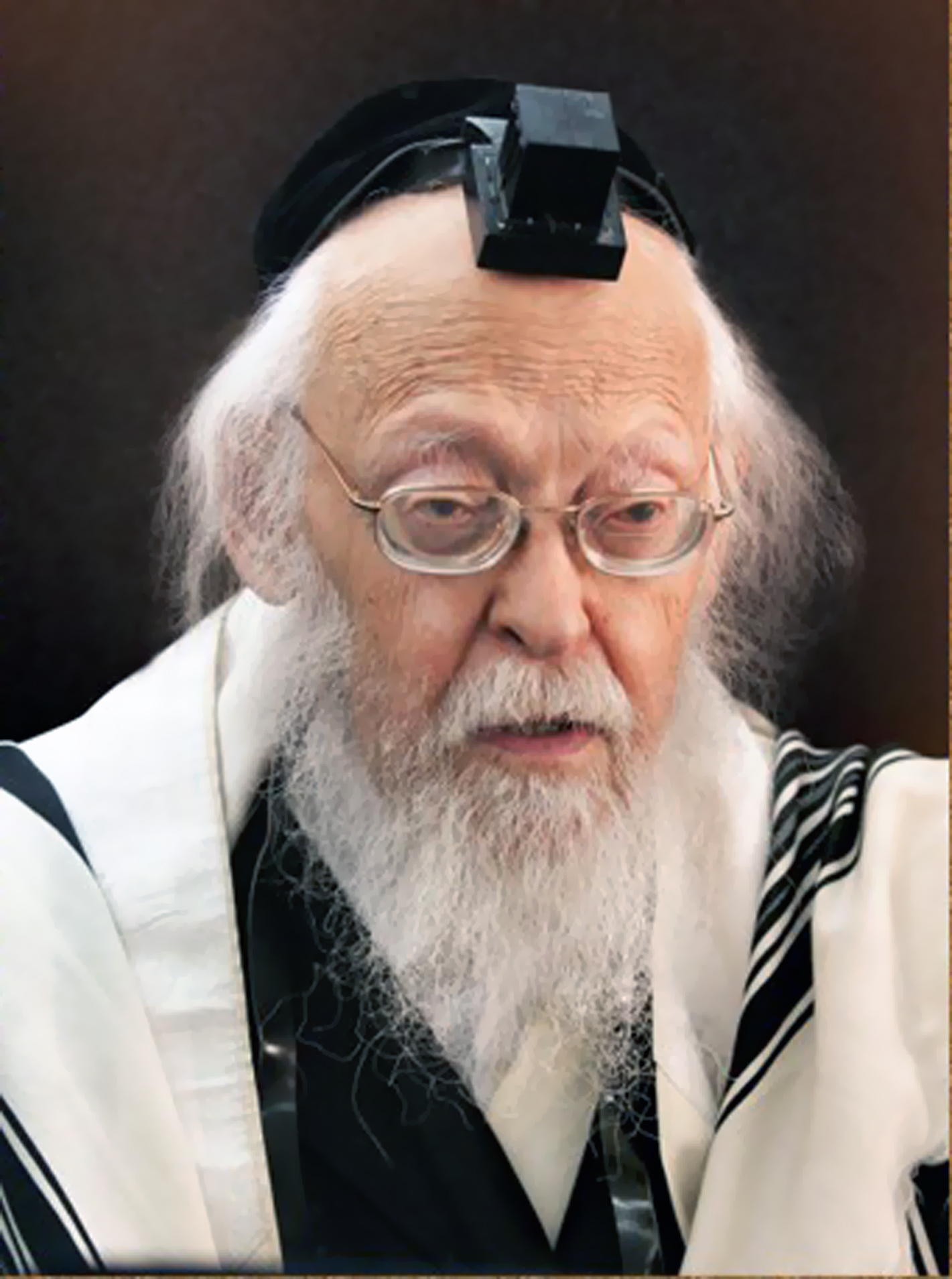 הרב יוסף שלום אלישיב (9).JPG