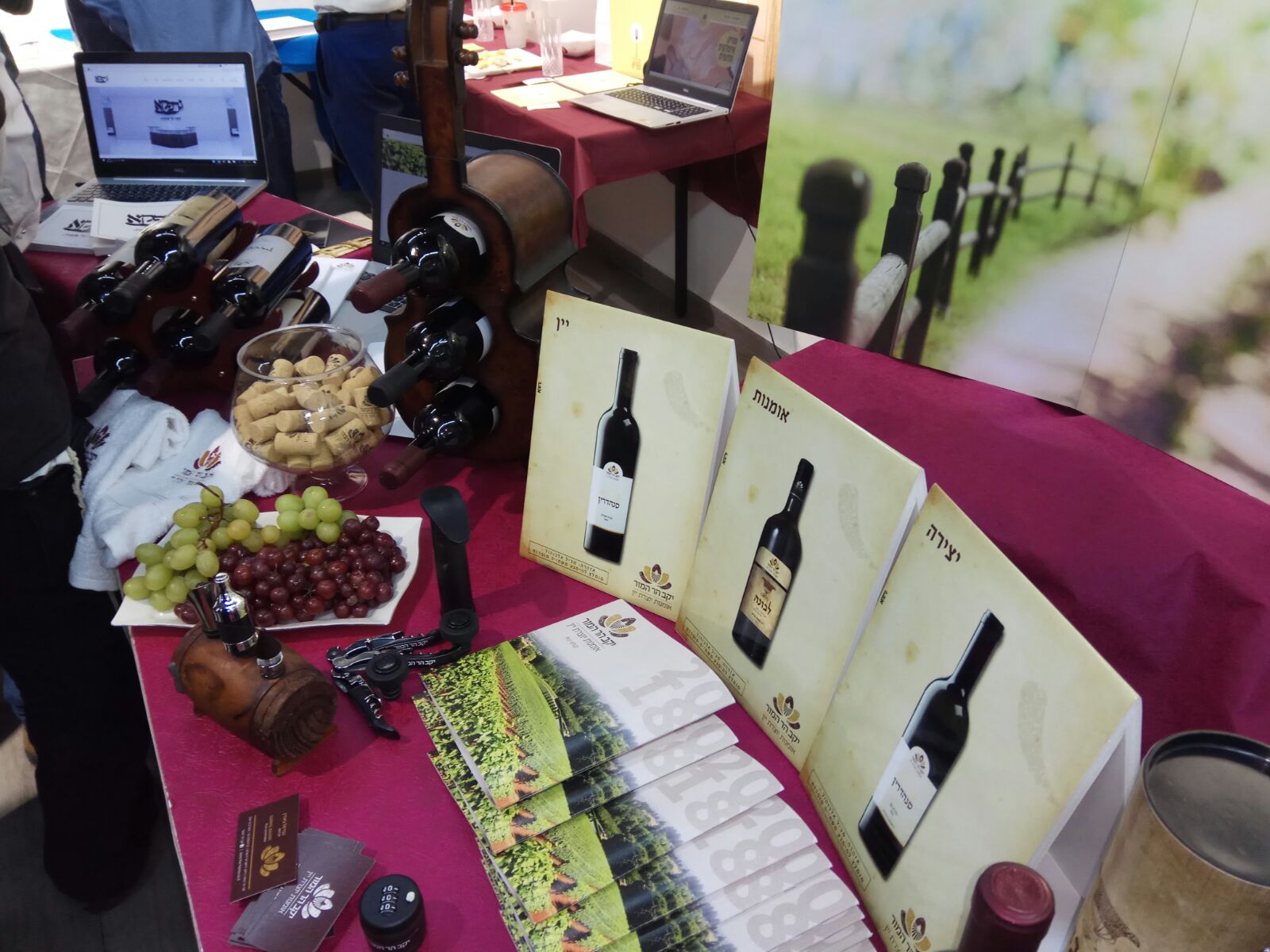 הר המור (1).jpeg