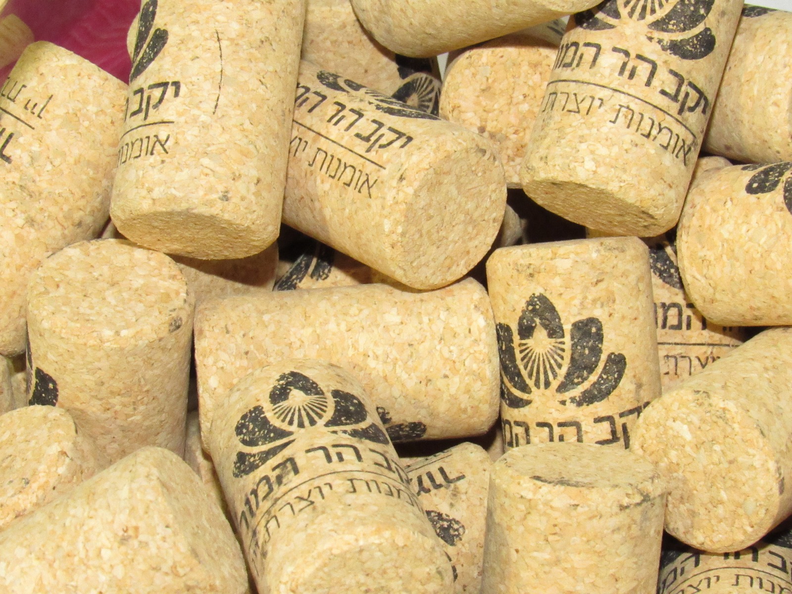 הר המור (11).jpeg