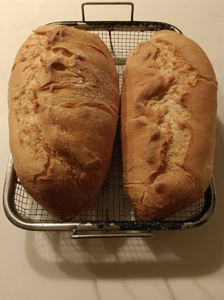 לחם (5).jpeg