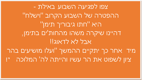 מנימן.png