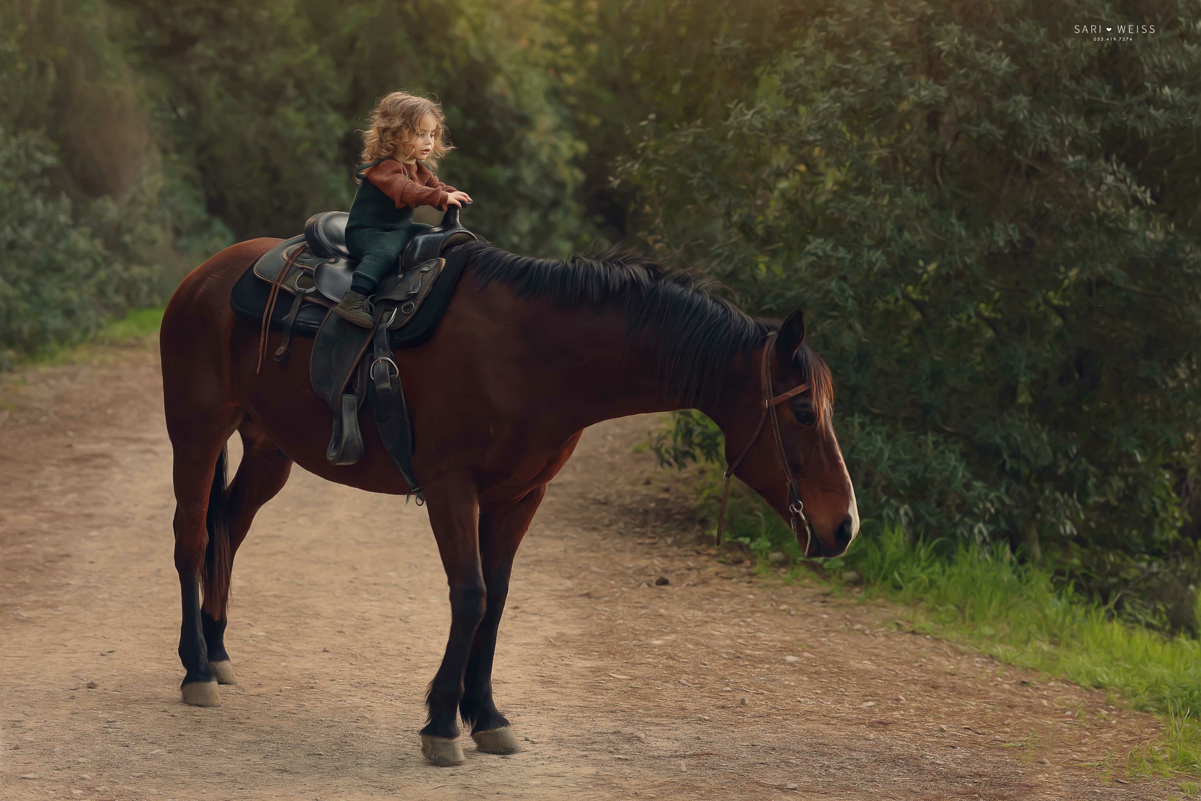 מפעל הפורמטים237A1717 copy 2.jpg