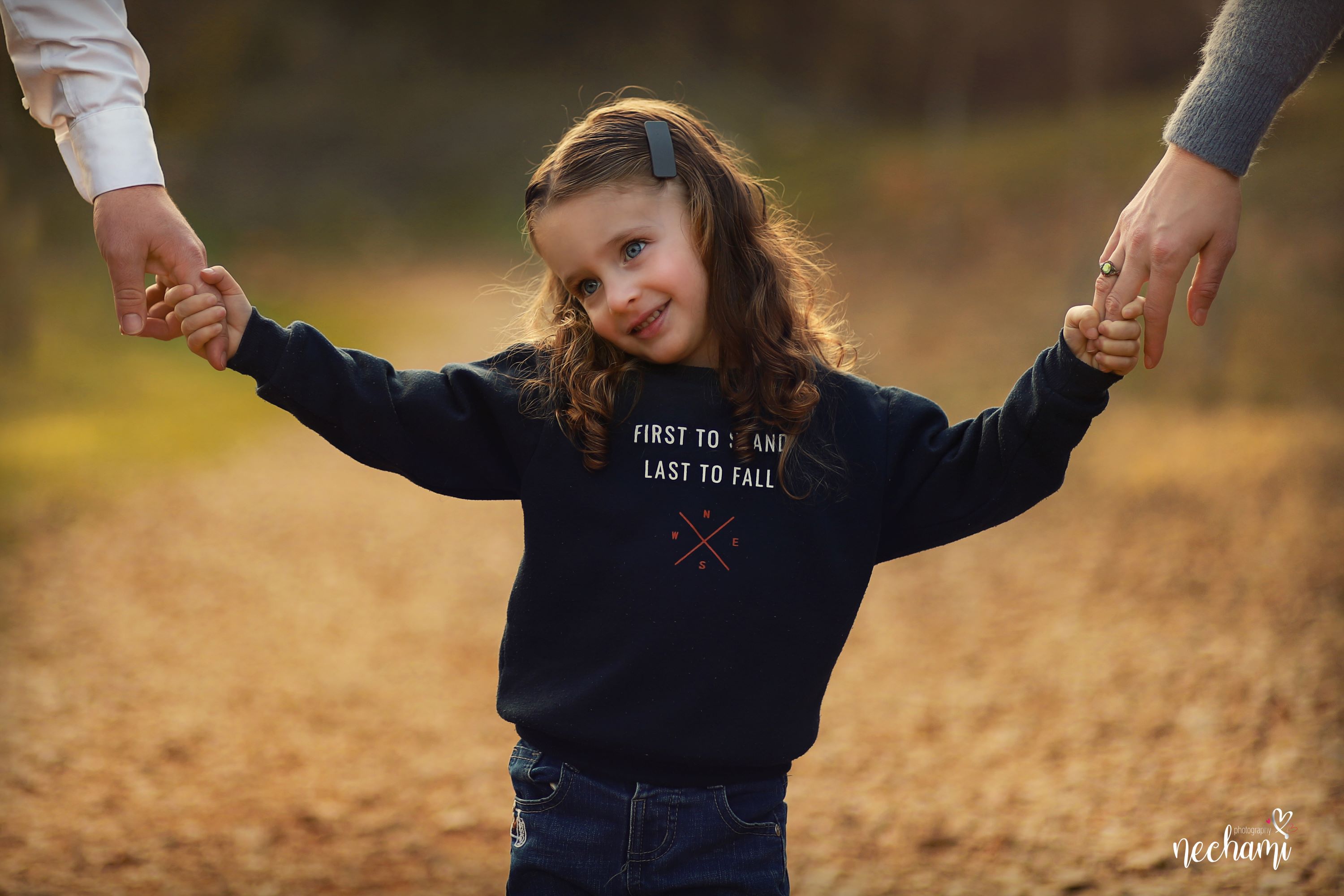 נחמי למברגר 3.jpg