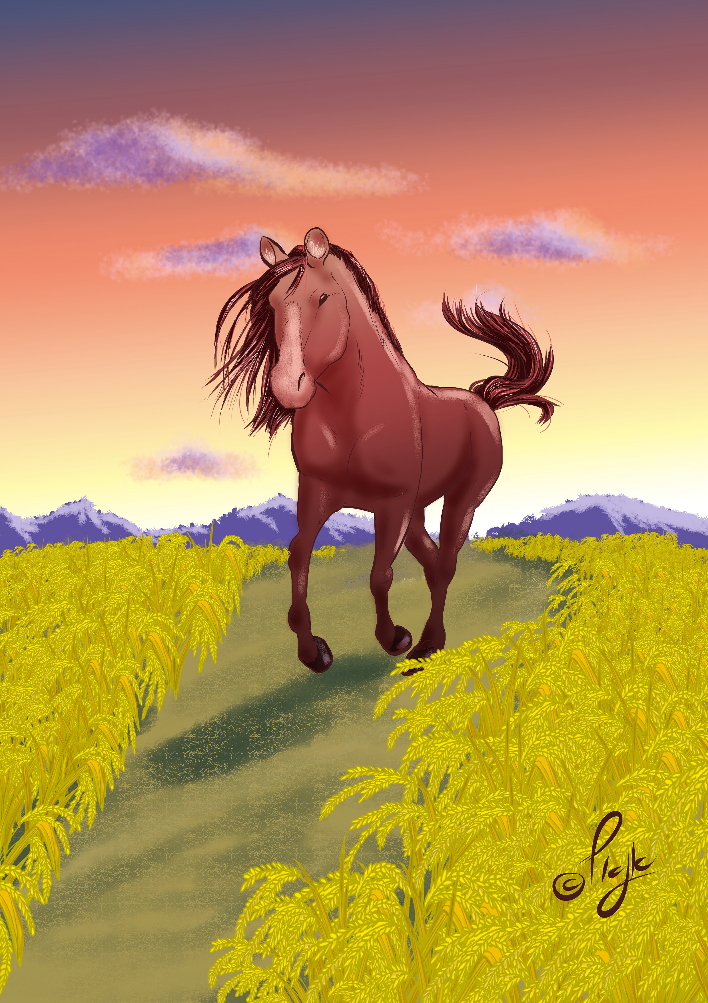 סוס בשדה.jpg