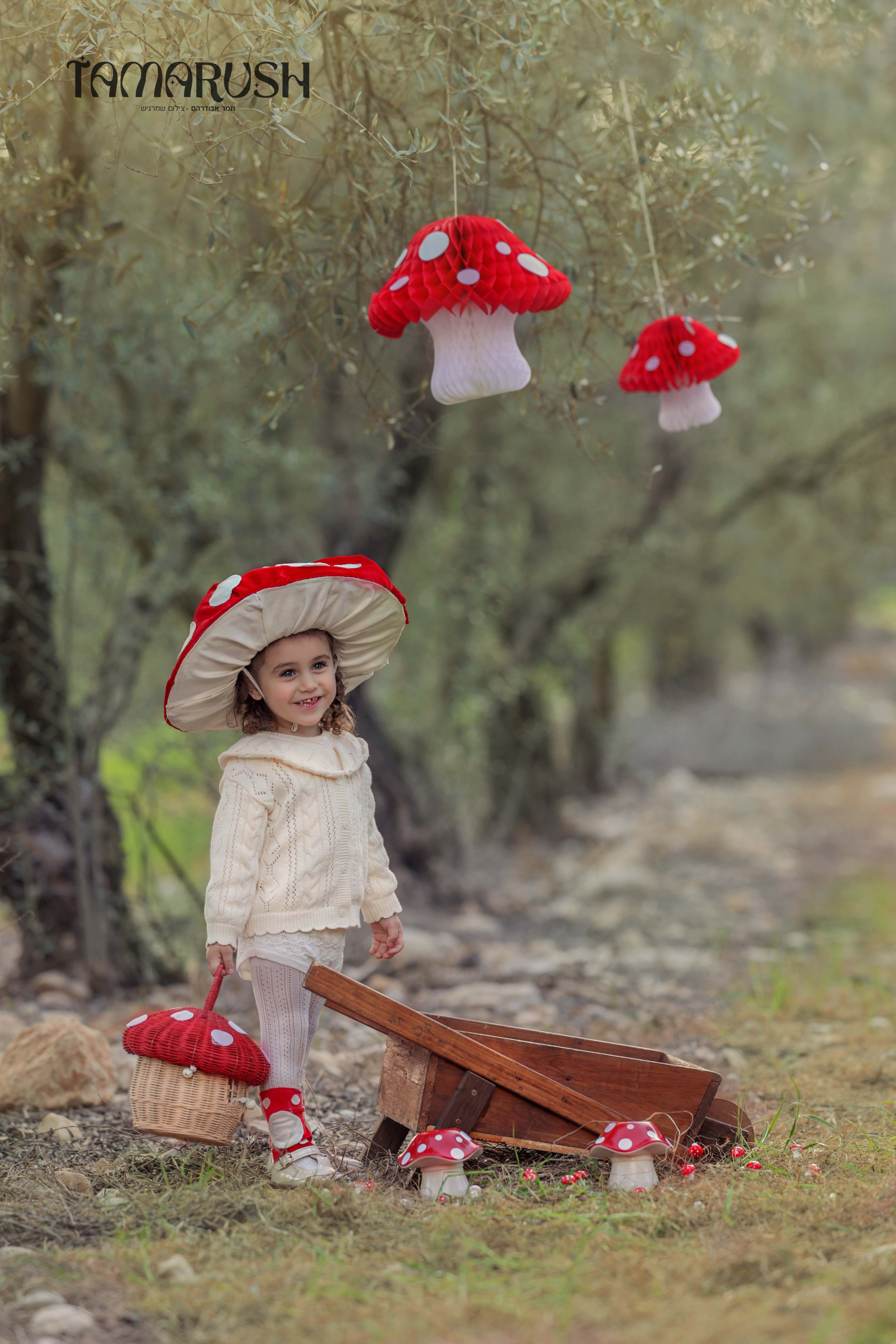 פטריה תמר א 0583226044.jpg