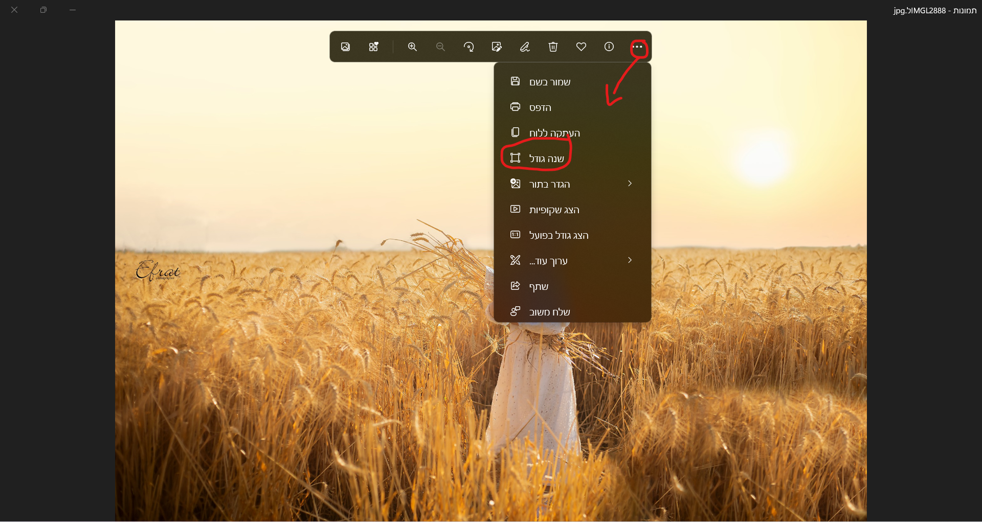 צילום מסך 2022-05-25 221355.png