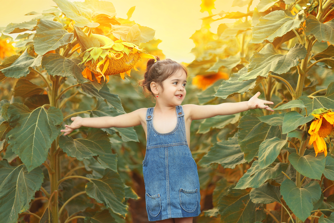 צילום מסך 2025-07-21 025406.png