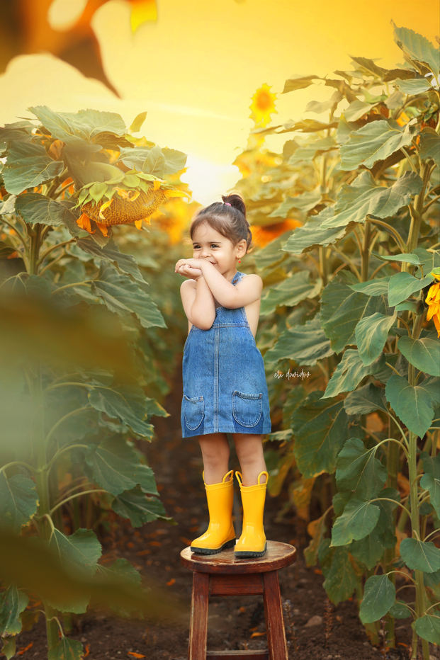 צילום מסך 2025-07-21 025412.png