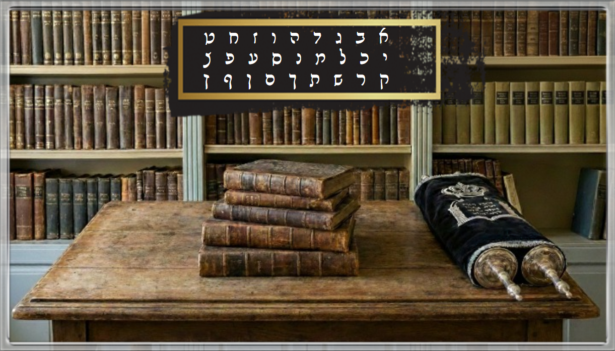 תמונת שער.png