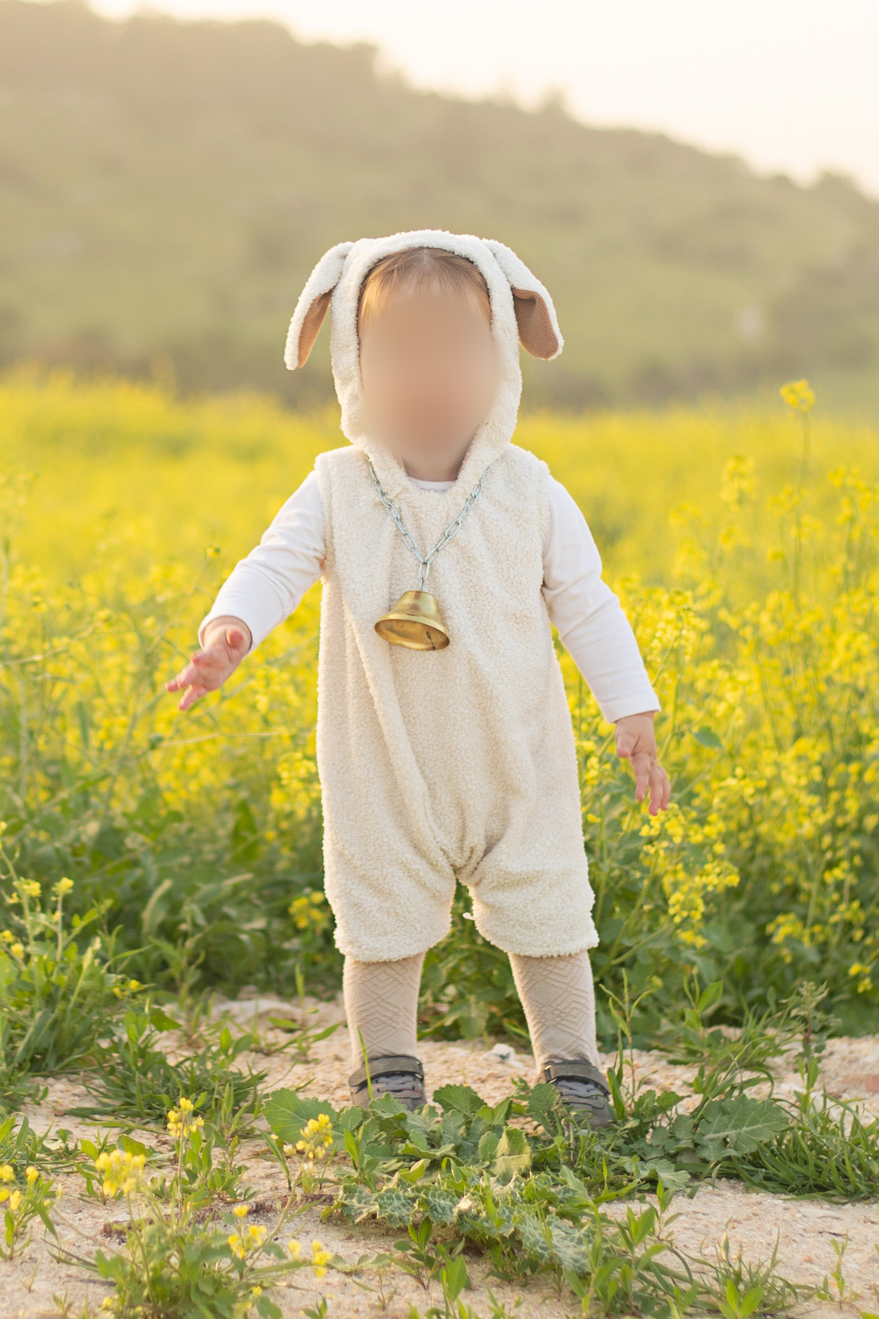 ‏‏1 - עותק.jpg