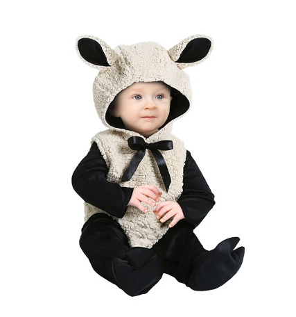 1704209882939-png.1541466