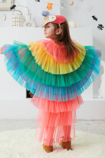 1705269941680-png.1550718