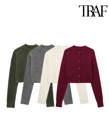 1731444578110-png.1820370