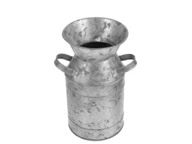 1733296740381-png.1838421