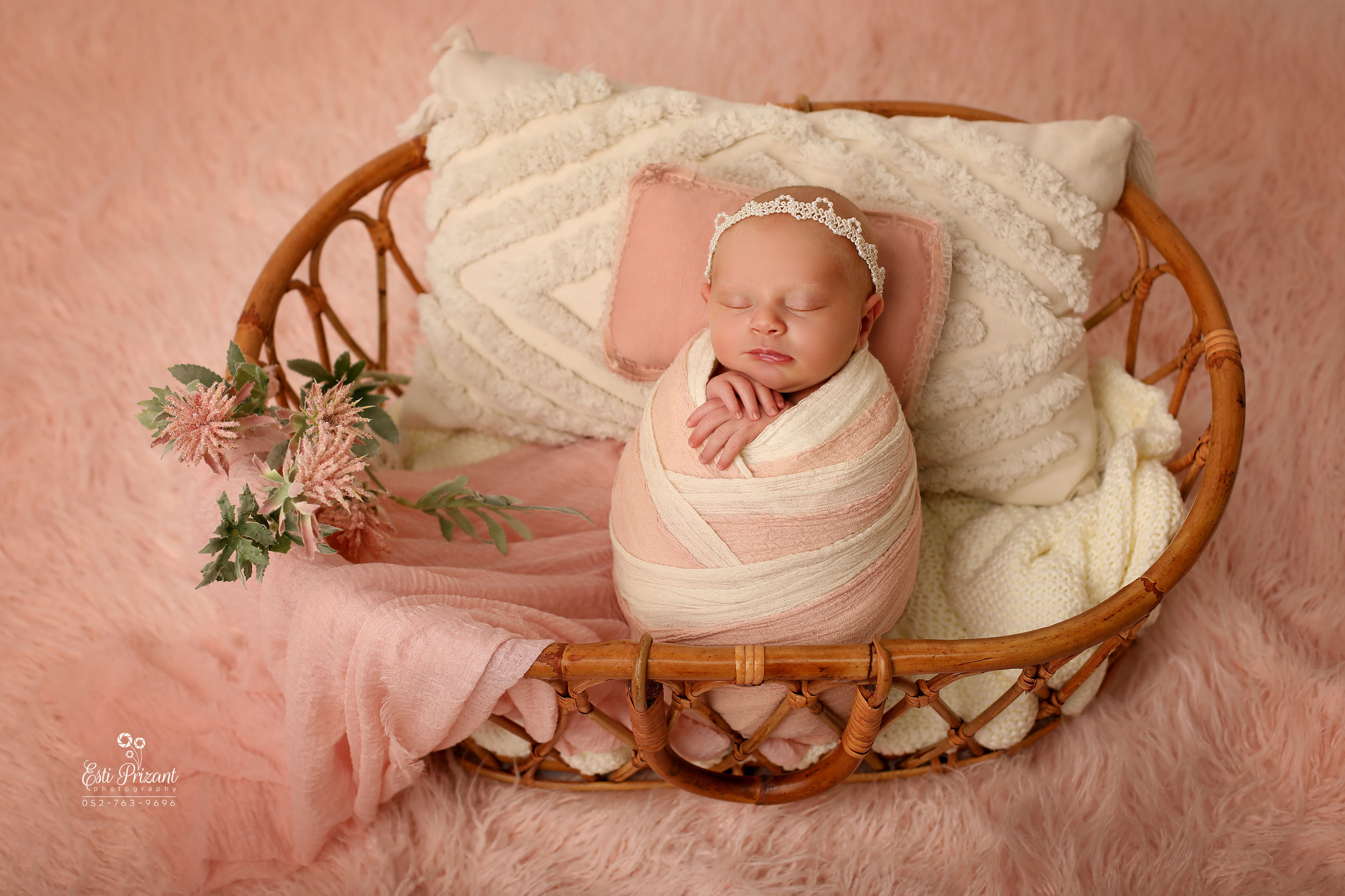 1X4A4513-Recovered copy 2.jpg