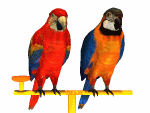 2-macaw.gif
