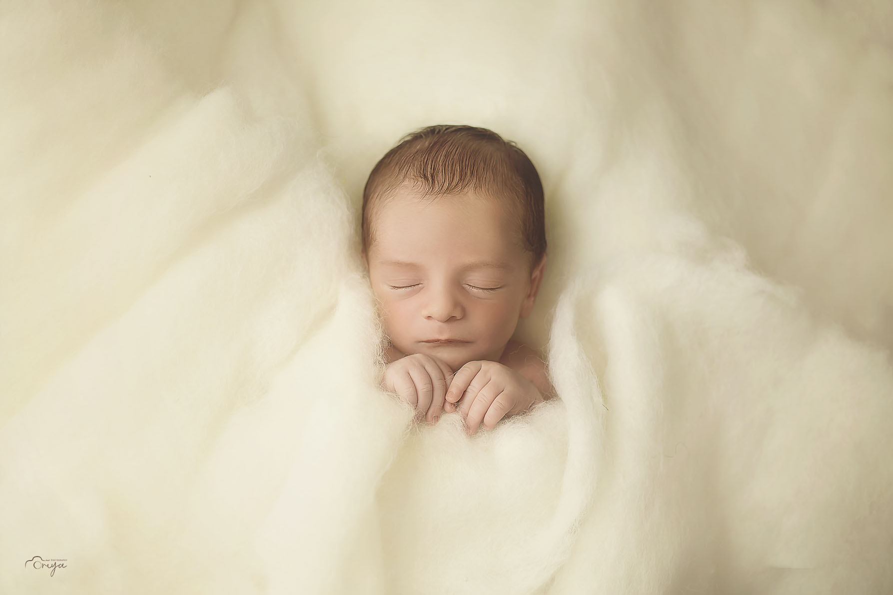 2L6A8739 copyקטן.jpg