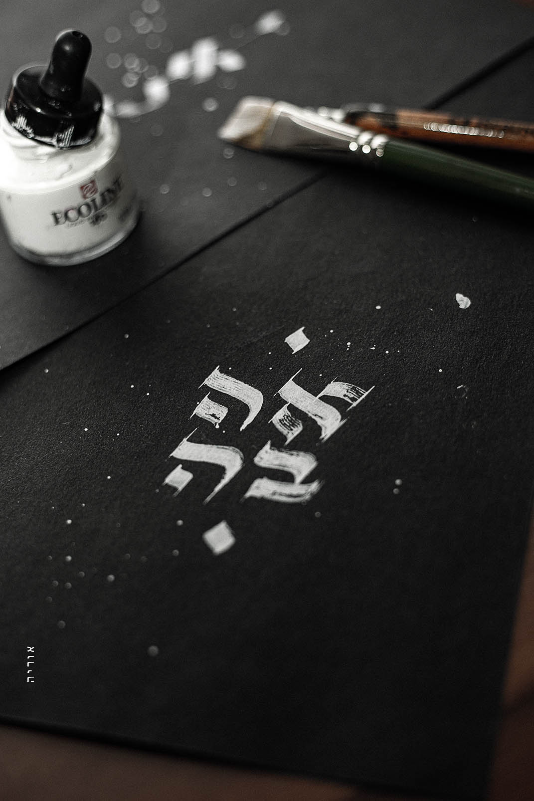 2L6A9045 cקטןopy.jpg