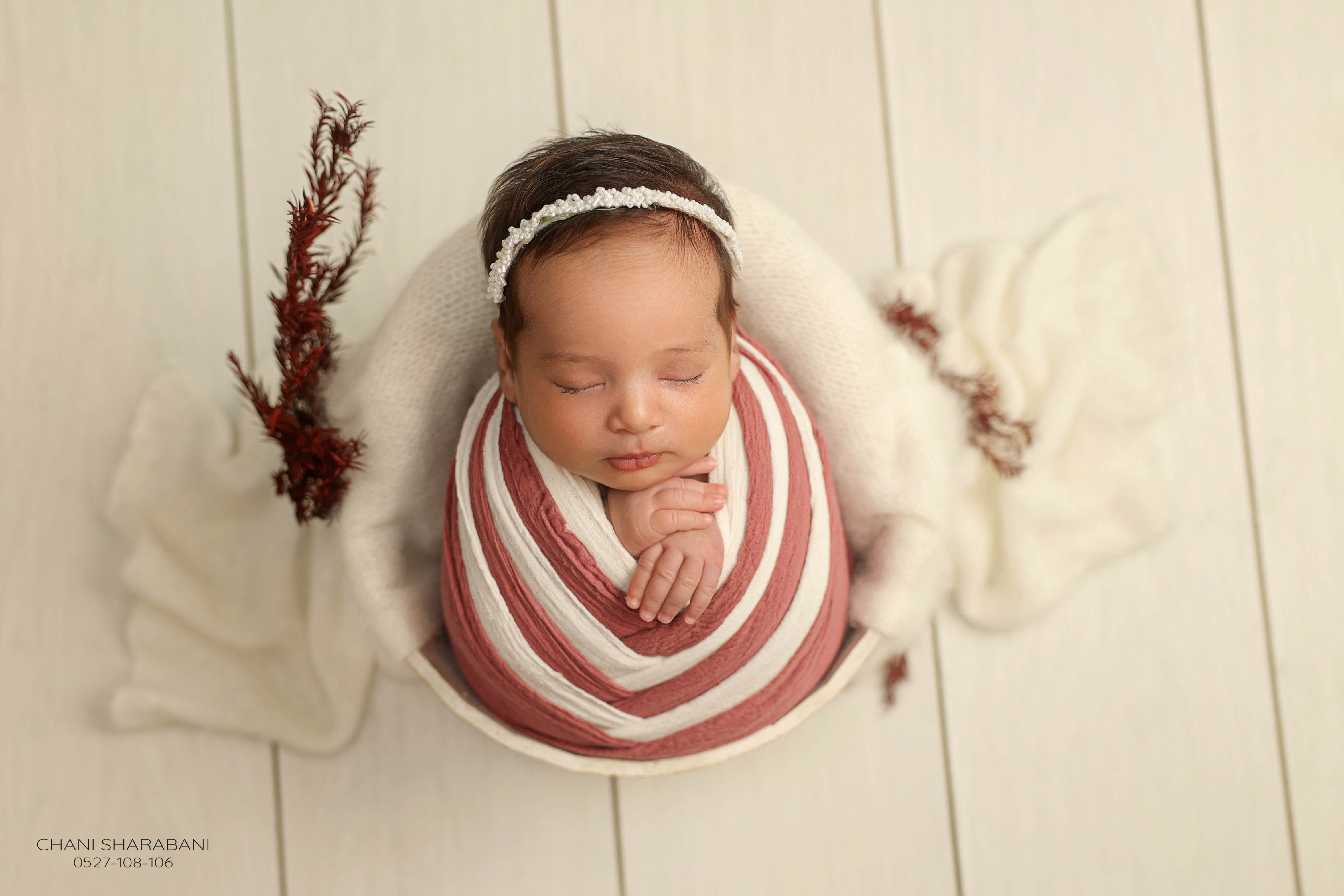 402A1703 copy 3.jpg צילום חני שרבאני 0527108106.jpg