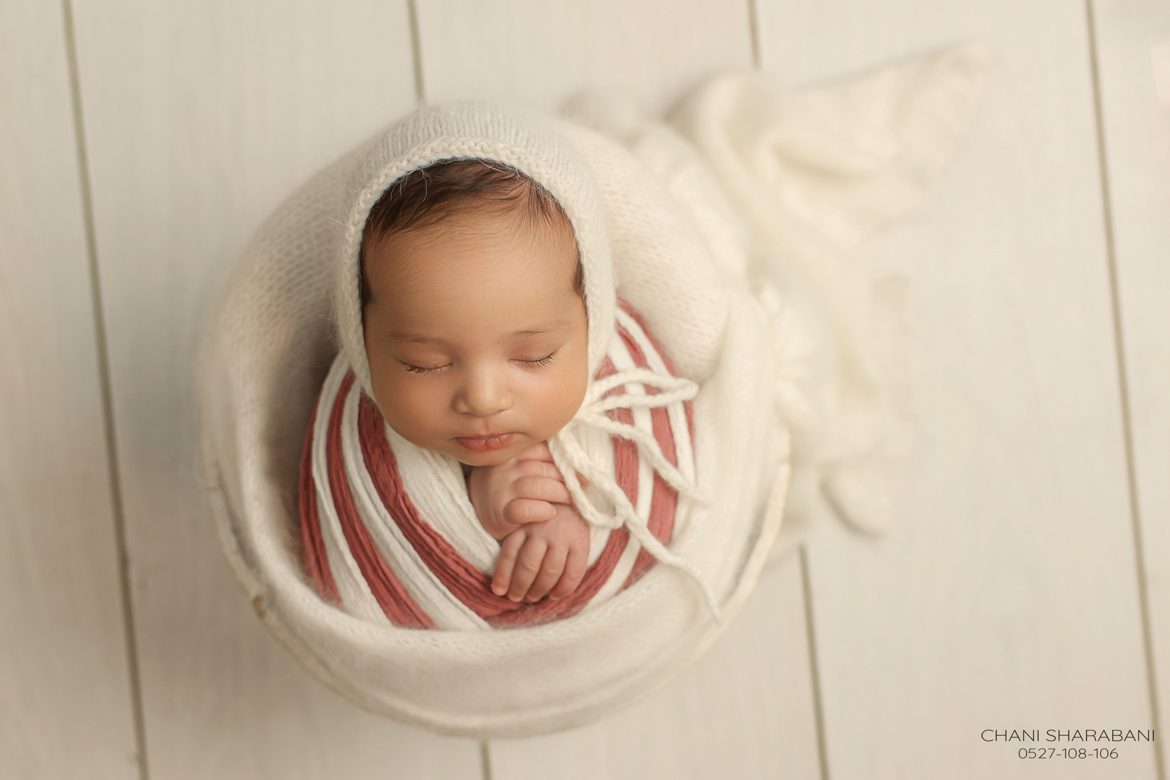 -402A1711 copy 3.jpg צילום חני שרבאני 0527108106.jpg