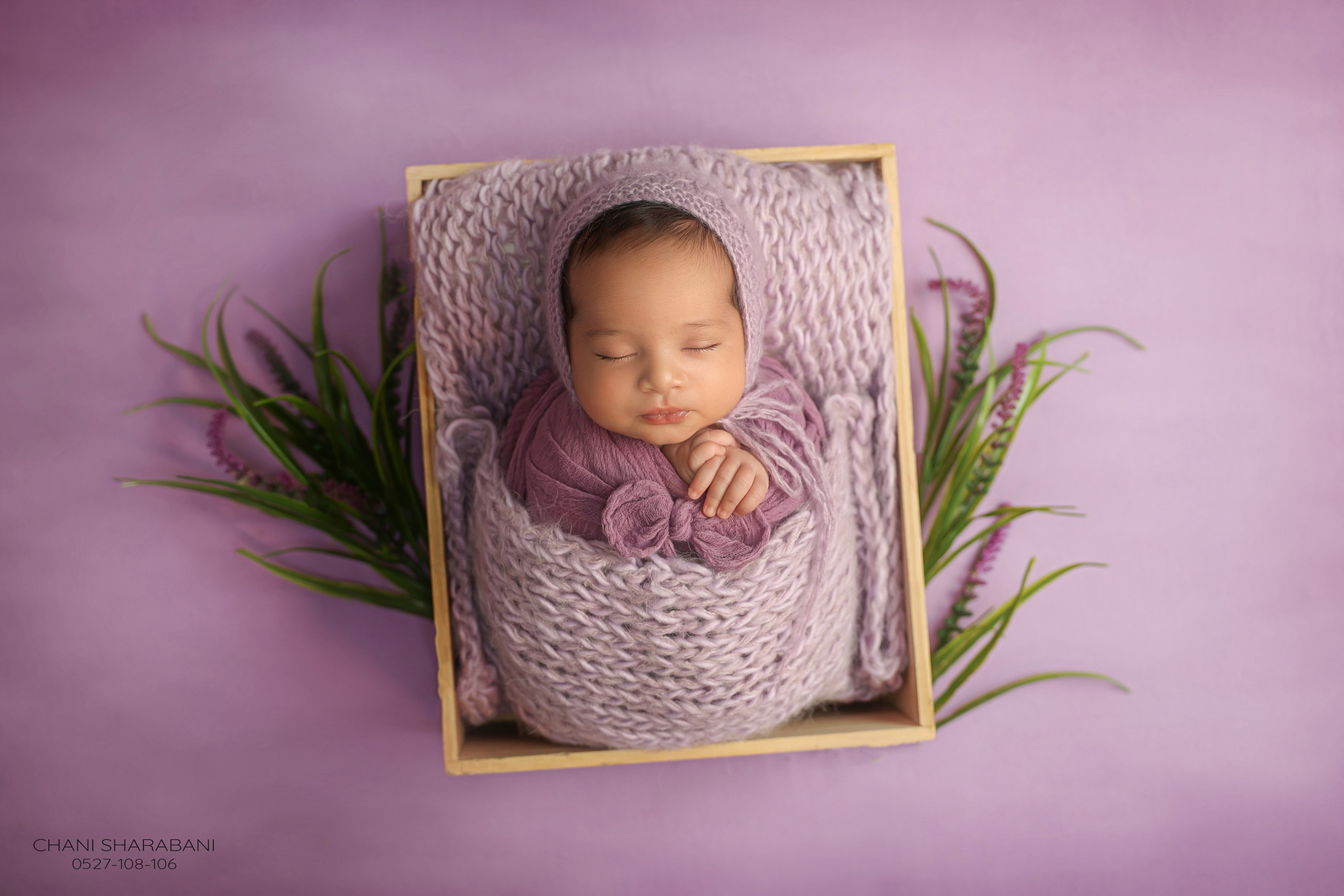 402A1729 copy 3.jpg צילום חני שרבאני 0527108106.jpg