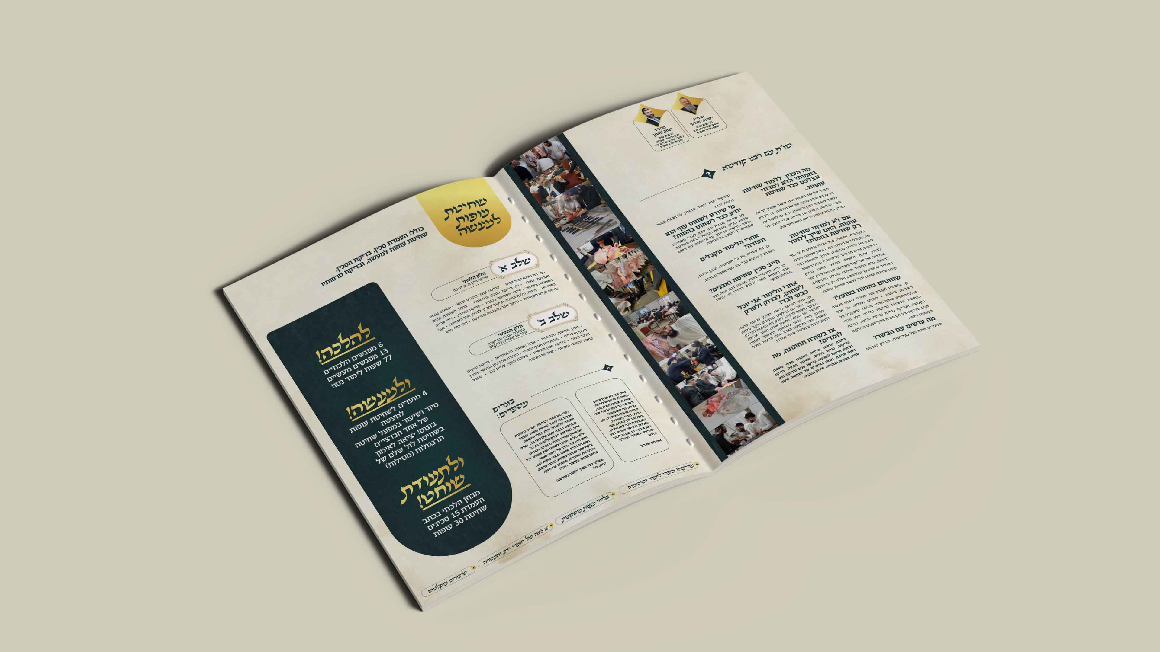 52019d73-74a6-406e-b2d2-9126b3a442c1 copy.jpg