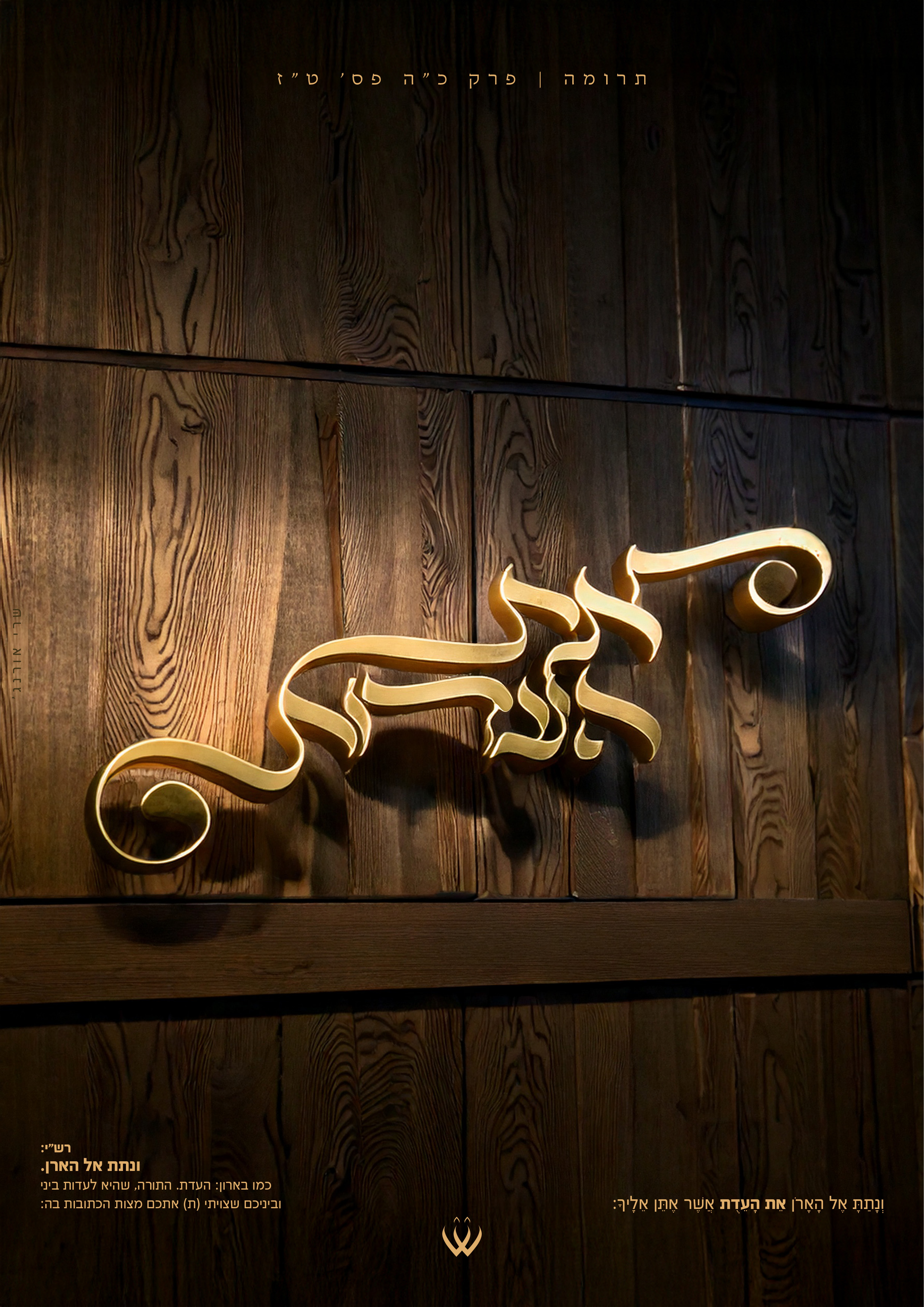 54_תרומה_את העדות-1.jpg