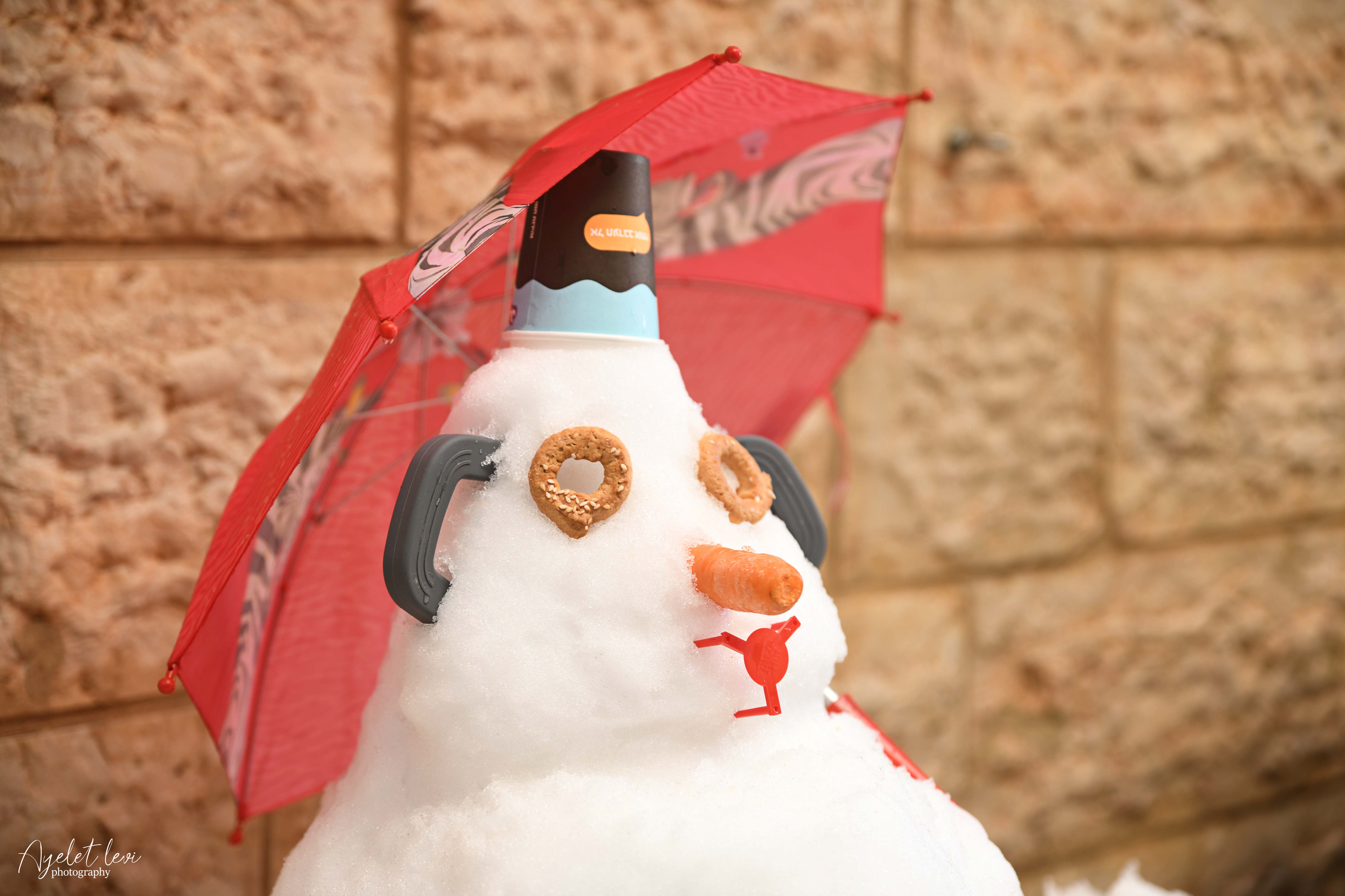 aal_1364-jpg.1052724