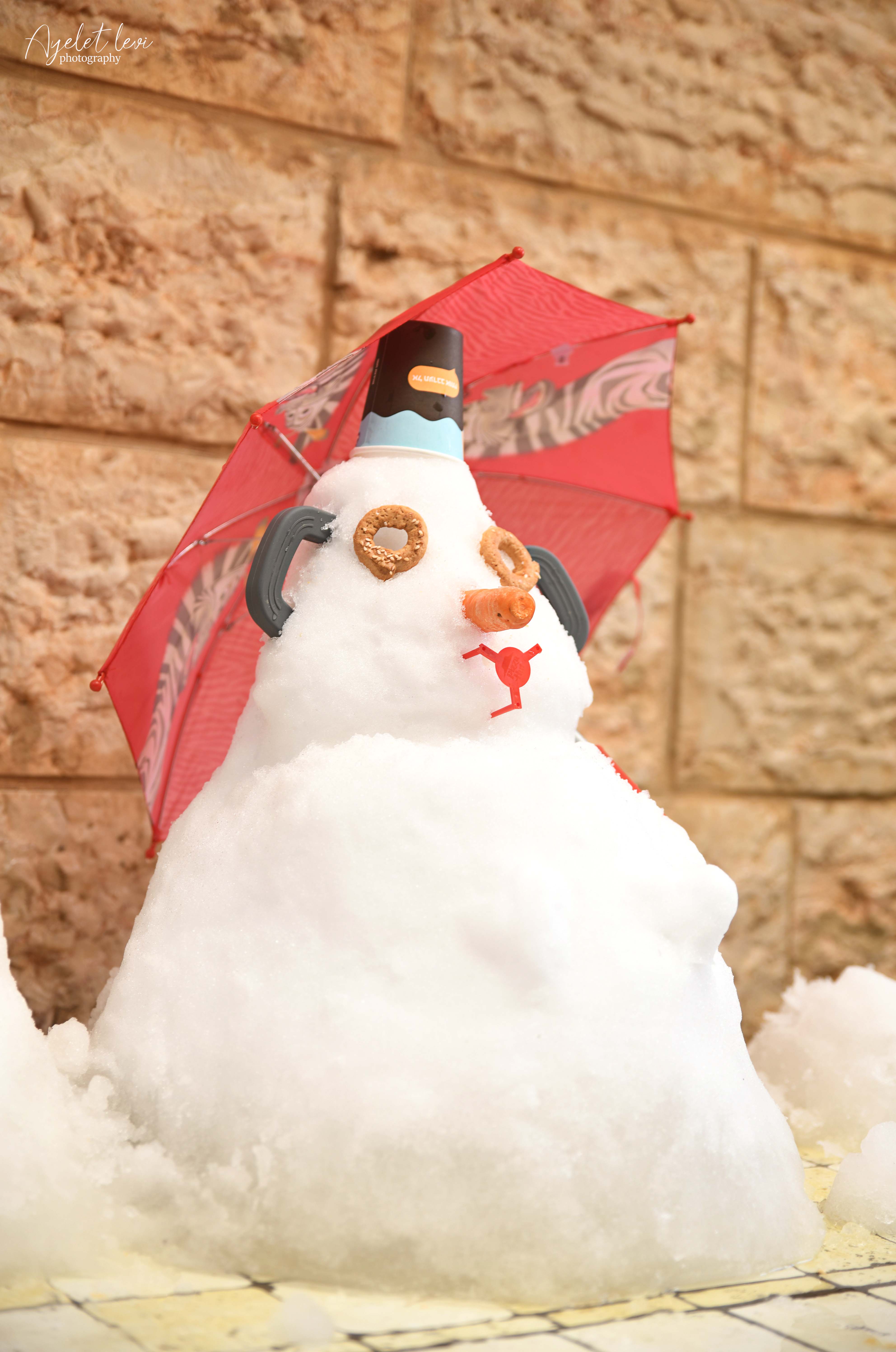 aal_1368-jpg.1052720