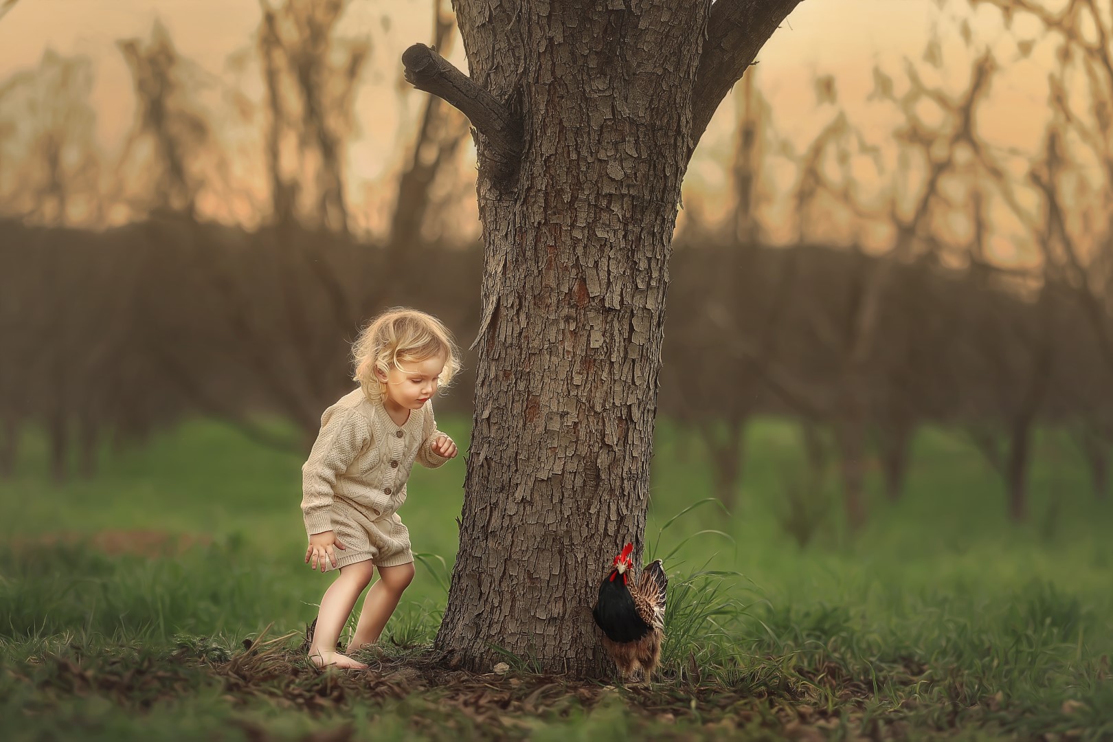 chavy_8339 (Large).jpg