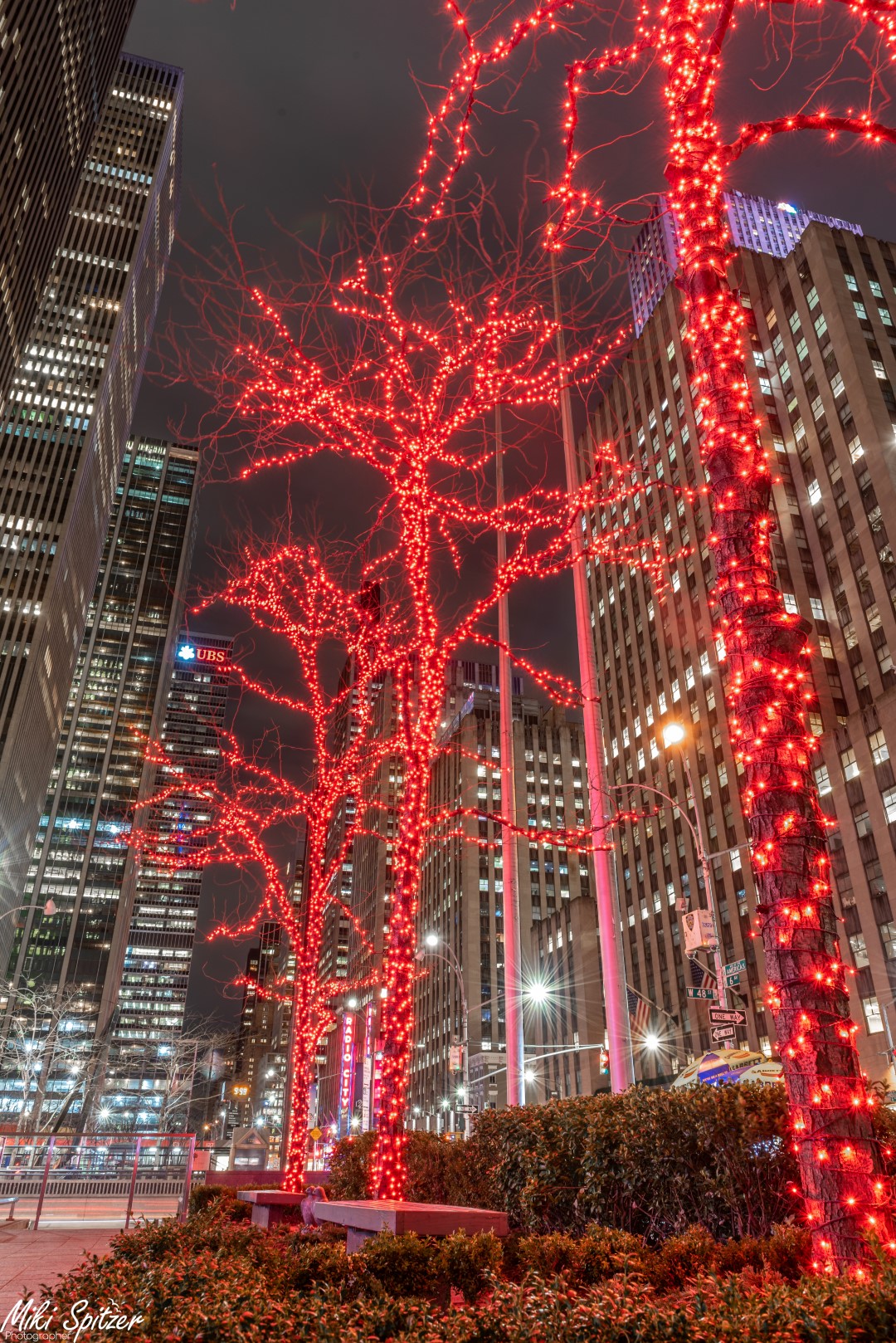 DSC_8560 (Large).jpg