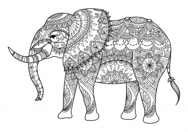 hand-drawn-elephant-background_1411-86 (1).jpg