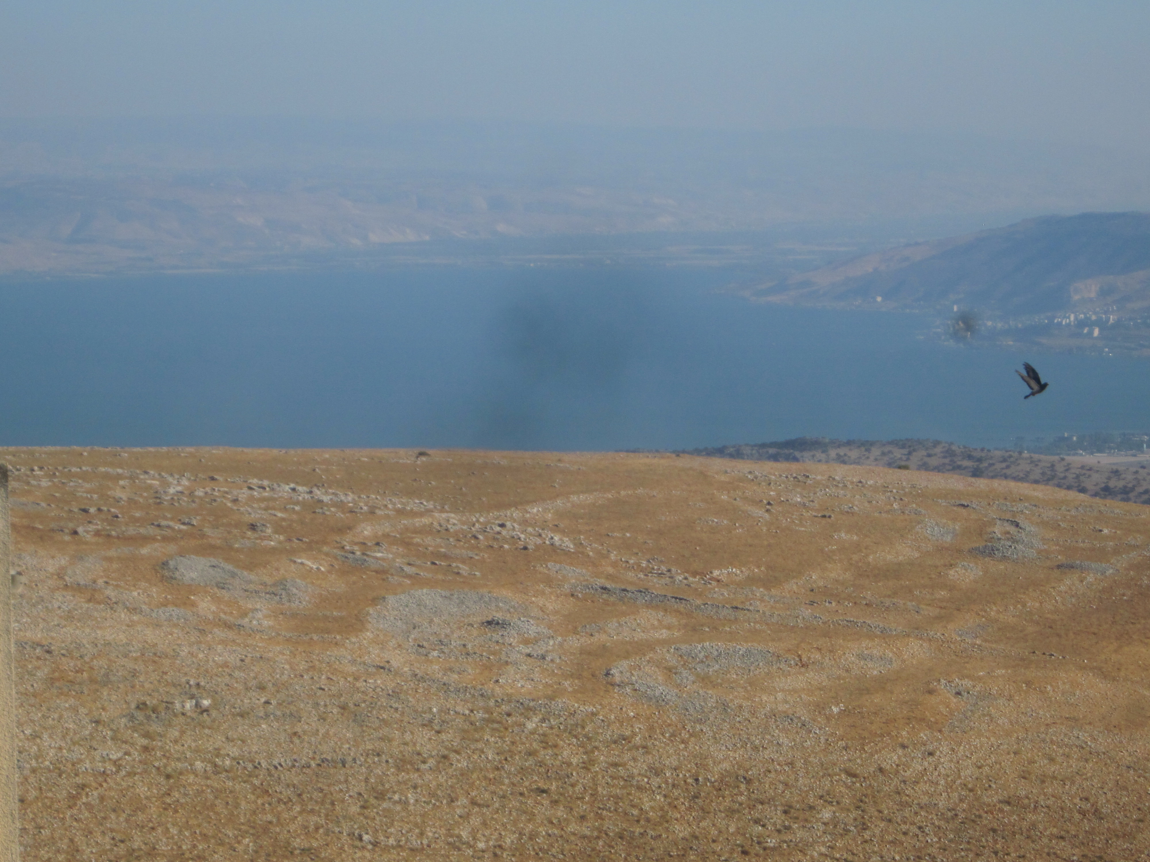 IMG_0009 (1) (1).JPG