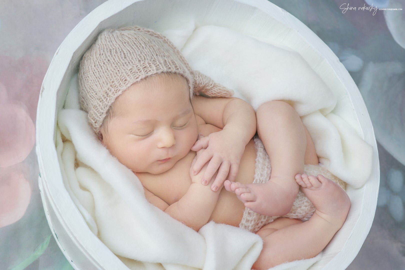 IMG_0137 copy (Large).jpg