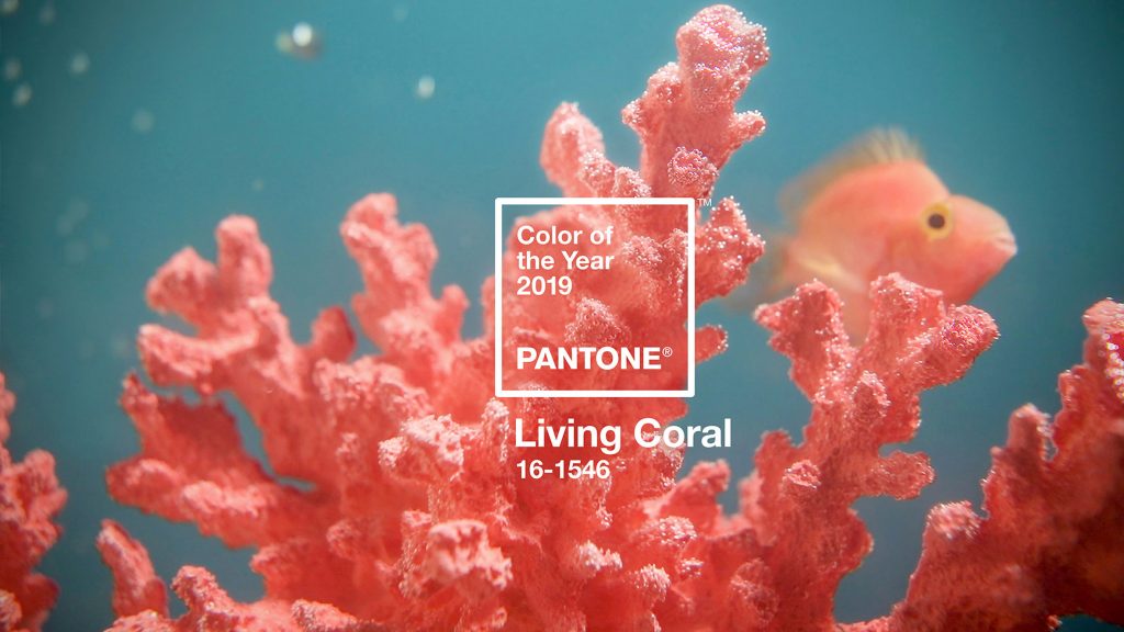 pantone-colour-of-year-2019-living-coral-design_dezeen_hero-1024x576.jpg