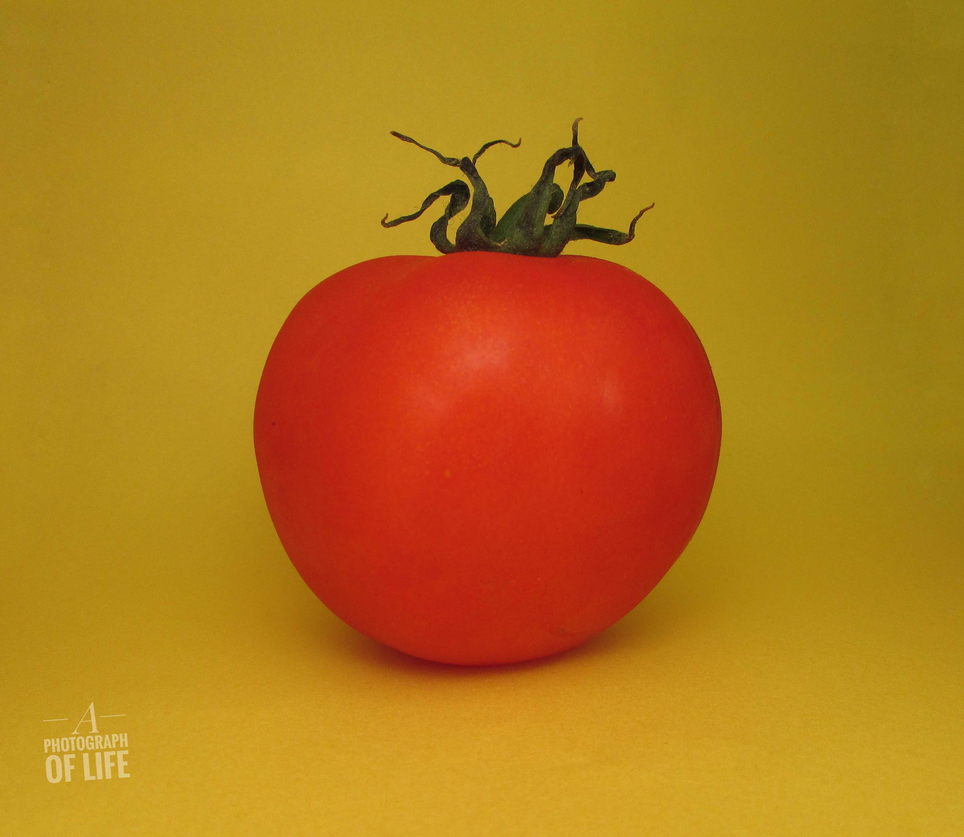 כתר העגבניה או בשם המתאים לתקופה קורונת העגבניה