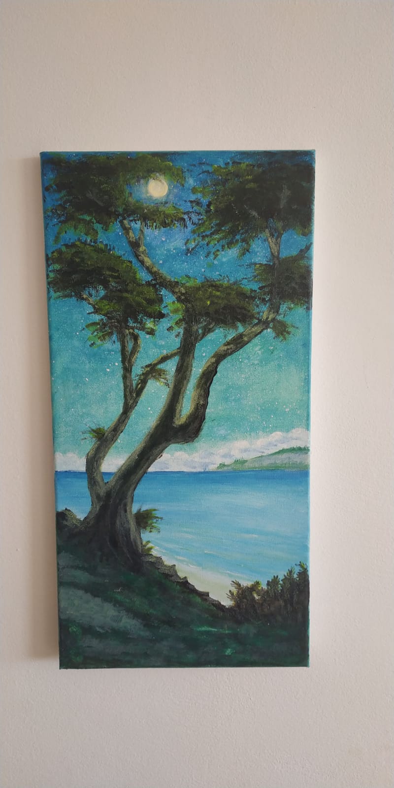 עץ על החוף