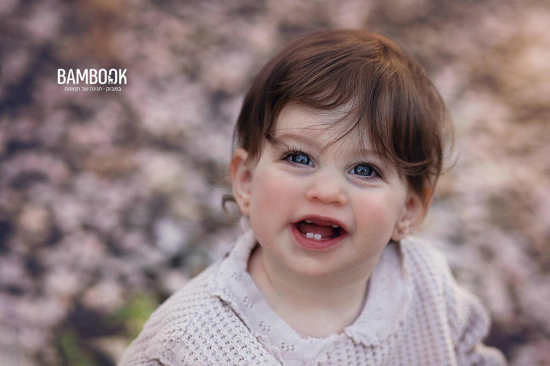 234A8995-Enhanced-NR copy.jpg