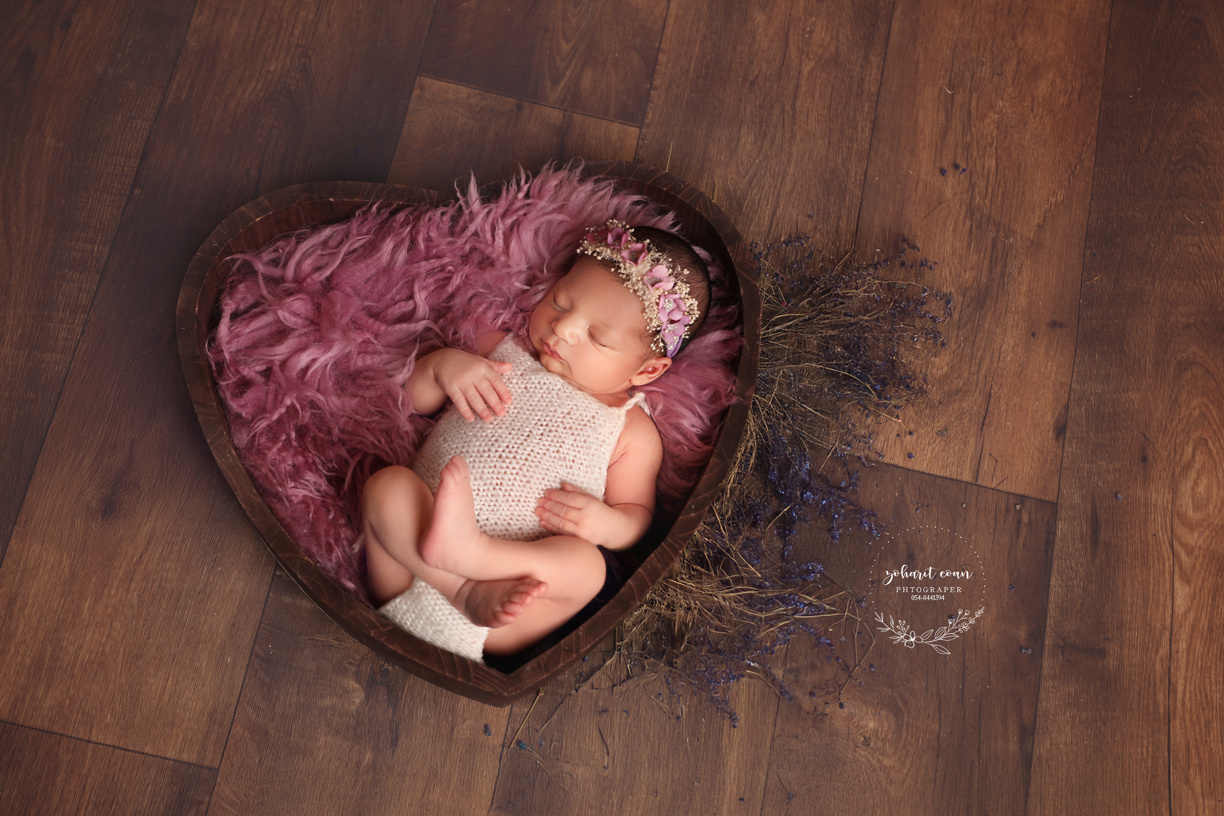 6D5A3728 copyבב.jpg