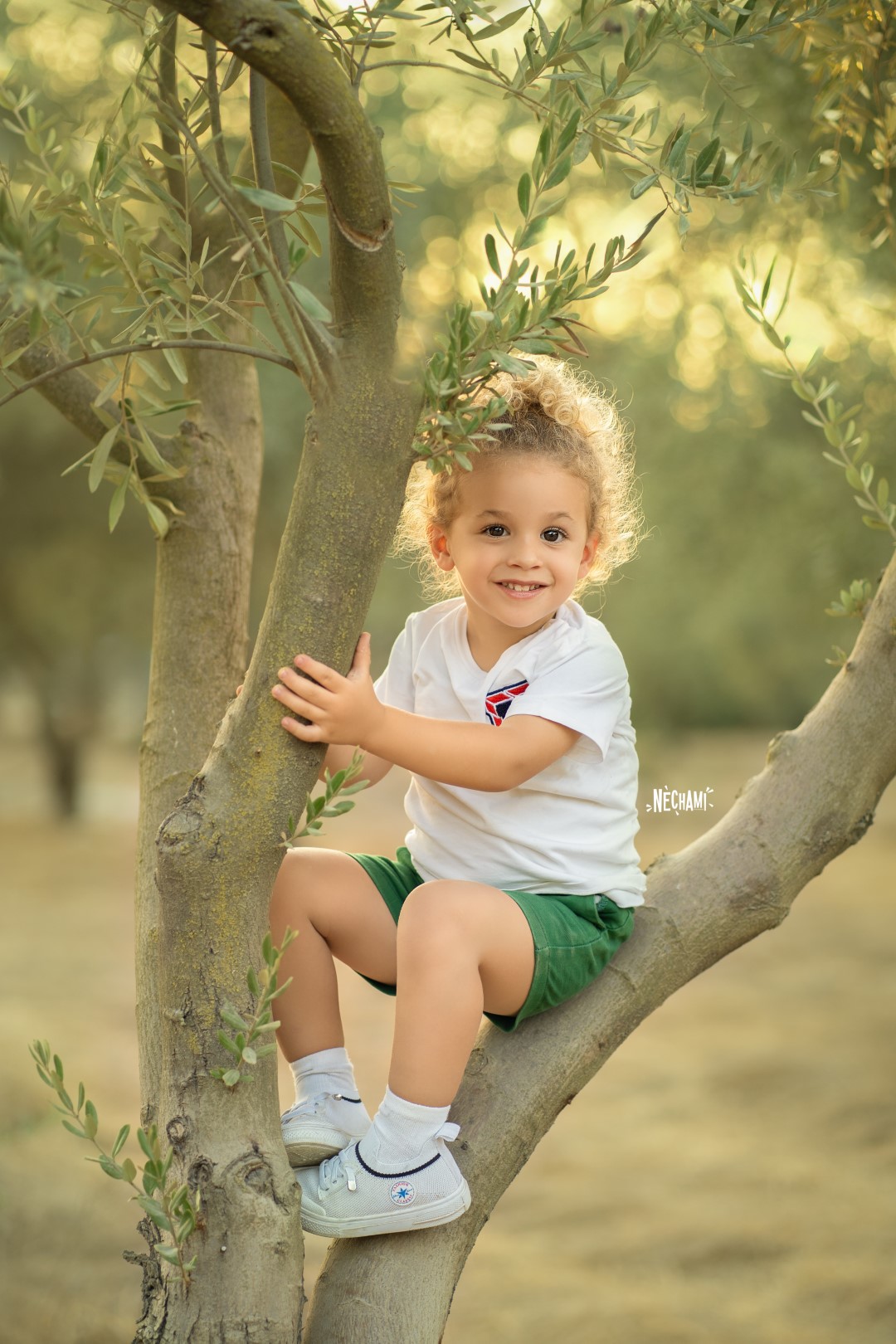 DSC07911 copy (Large).jpg