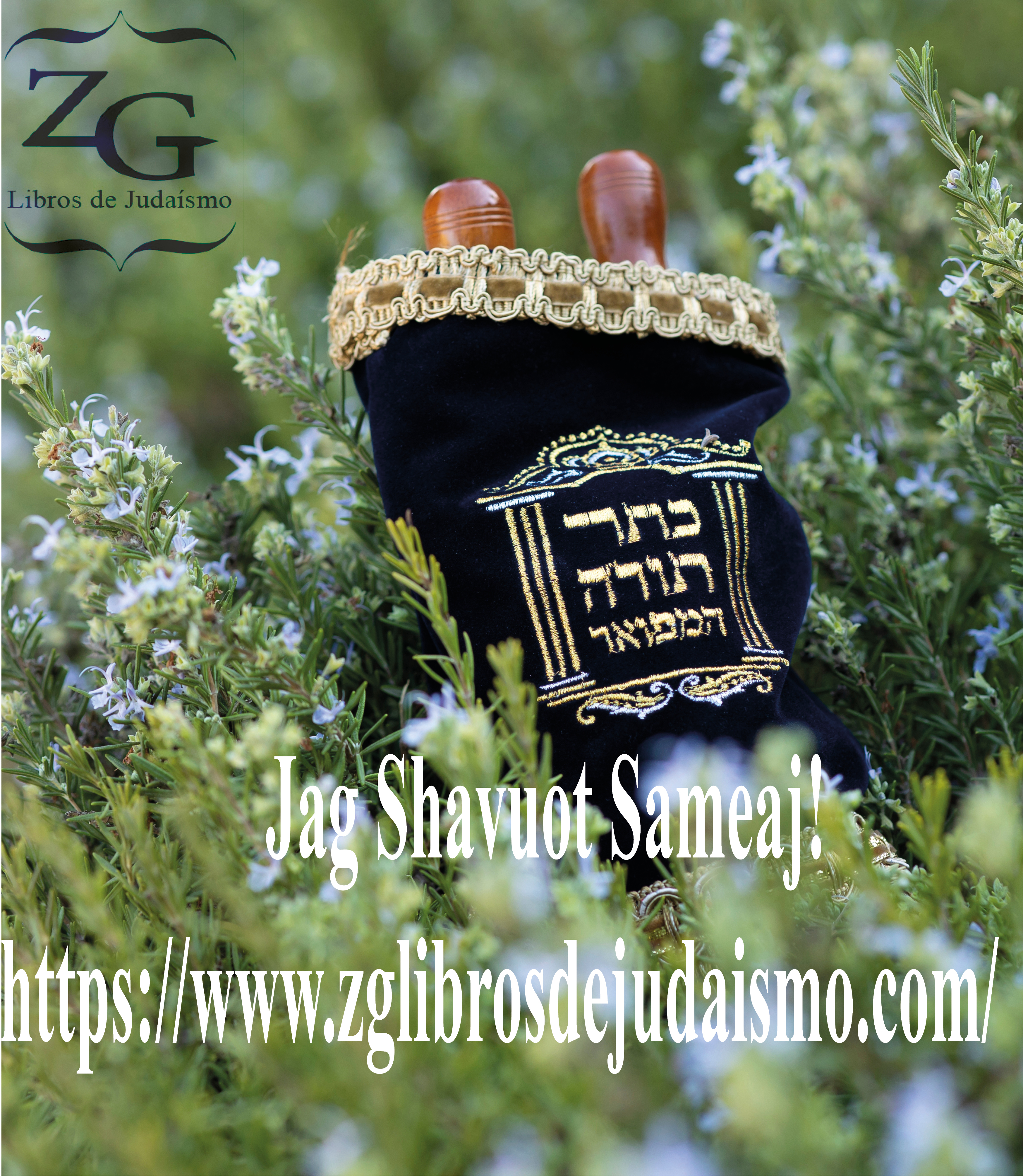Jag Shavuot Sameaj 5783