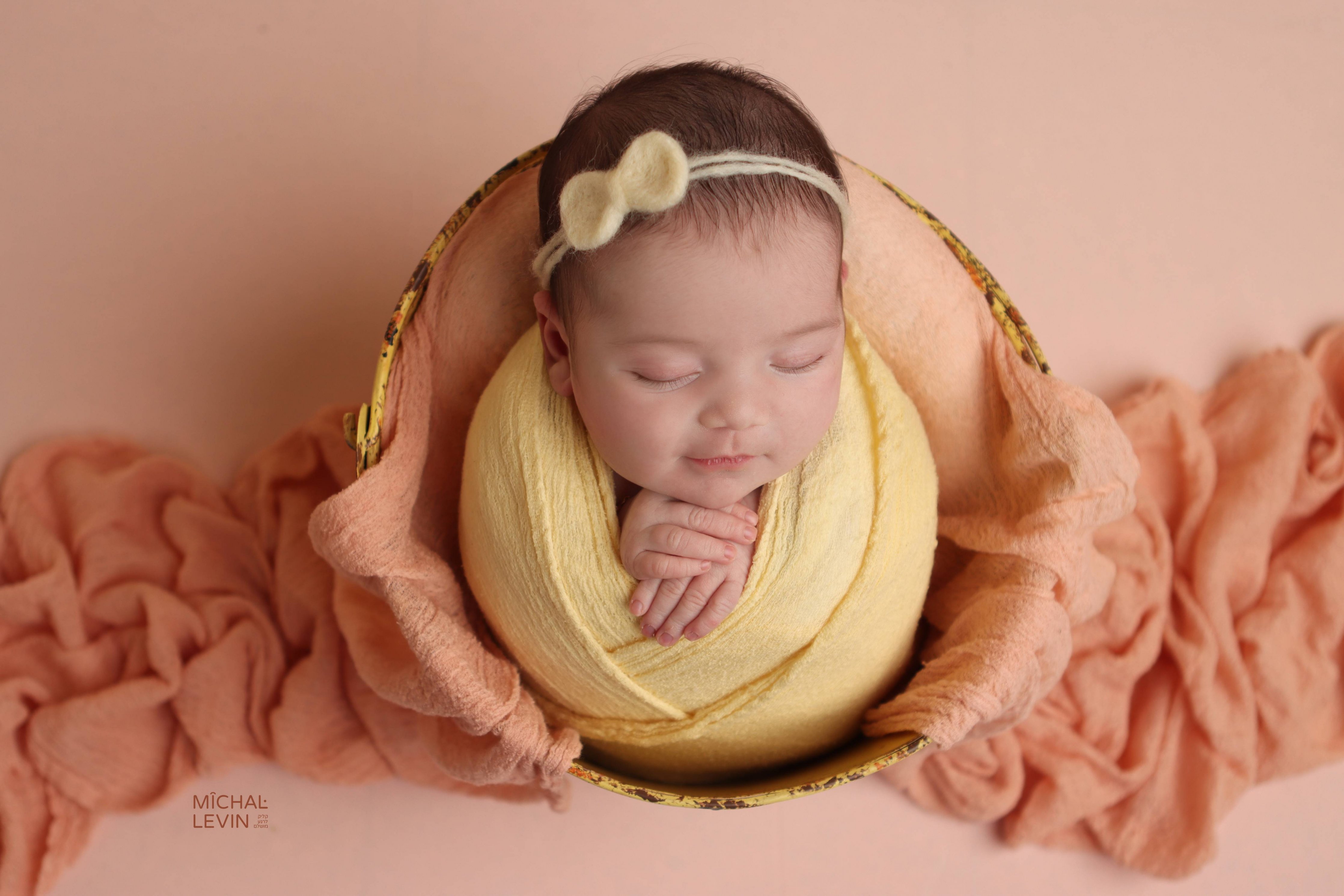 Michal Levin Photography