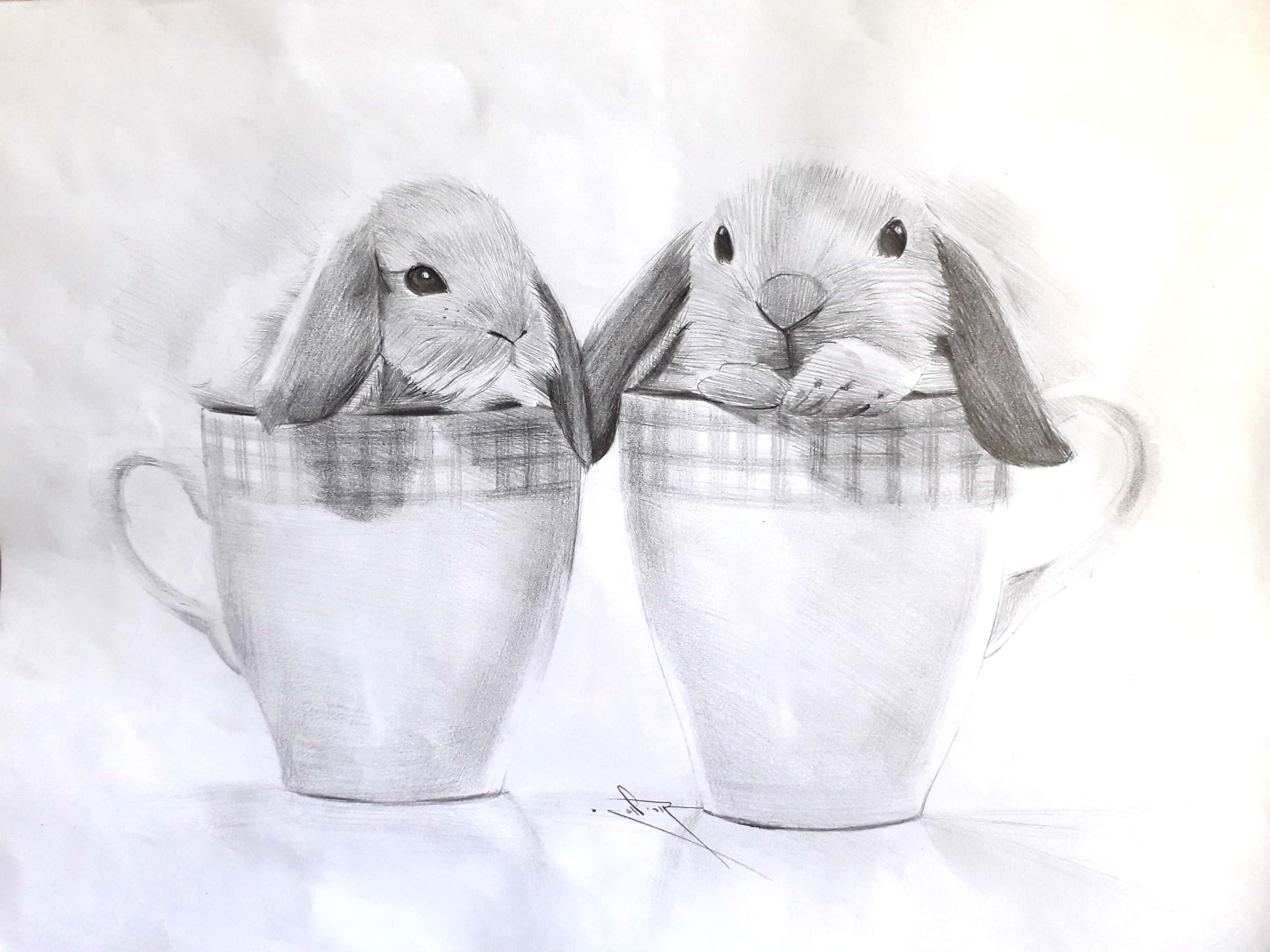 New Doc 2019-06-04 15.00.44_1(2)