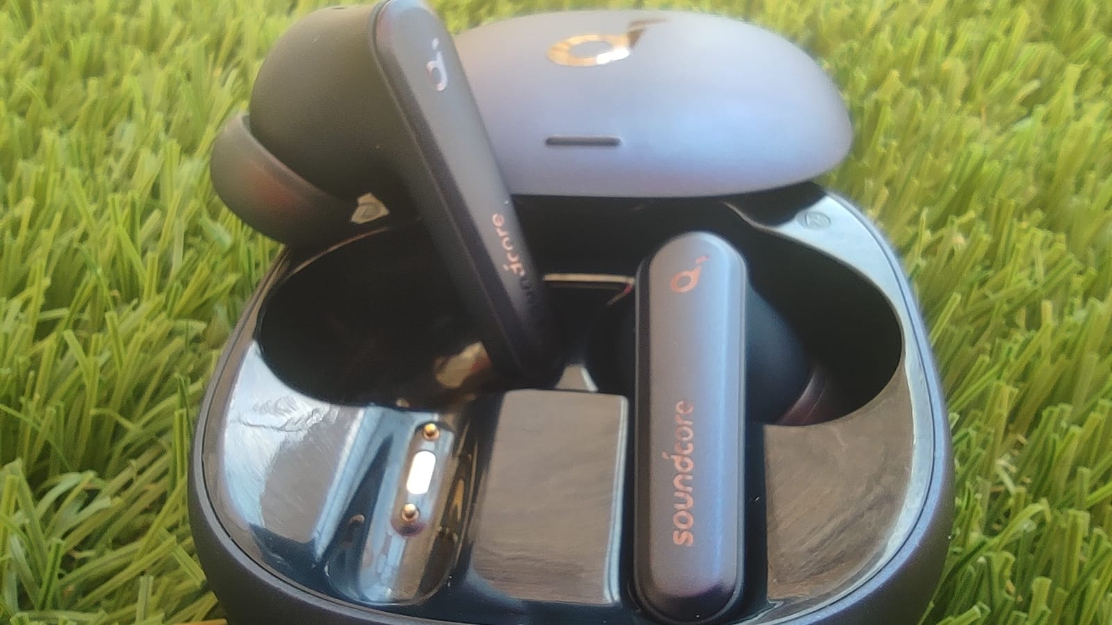 WhatsApp Image 2021-10-13 at 18.54.12.jpeg