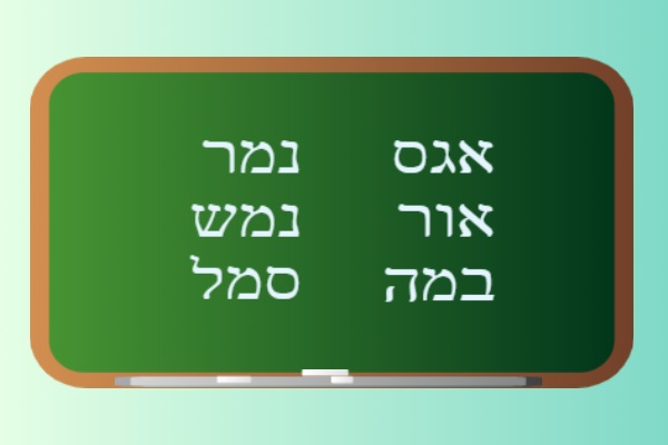 המילה הסודית