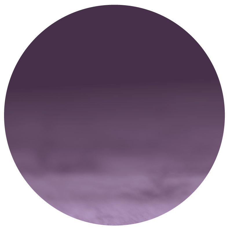 pictureperfect.co.il